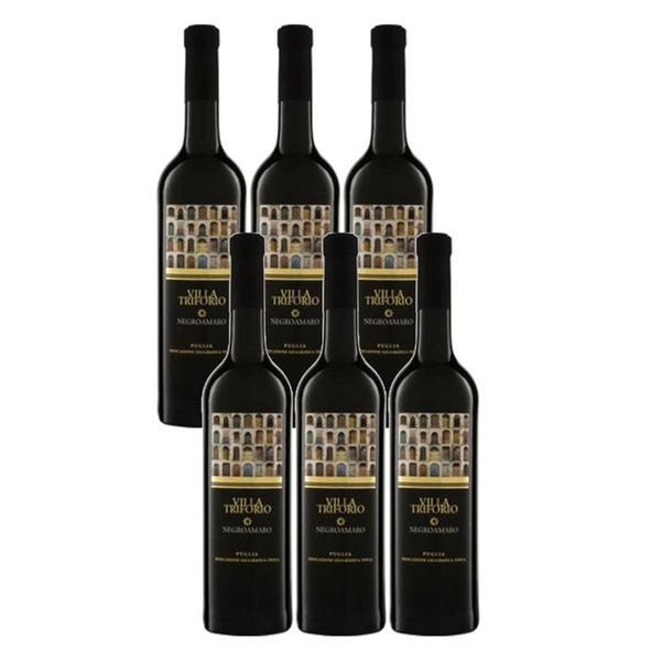 Produktfoto zu Kiste Negroamaro 'Villa Triforio' 6*0,75l