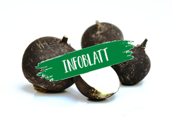 Produktfoto zu Infoblatt Schwarzer Rettich