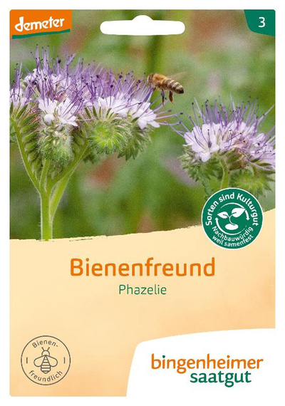 Produktfoto zu Phazelie Bienenfreund Saatgut