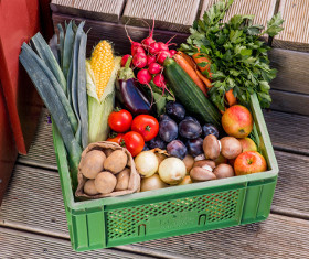 KI generiert: Grüne Kiste mit frischem Obst und Gemüse, darunter Tomaten, Äpfel, Lauch, Gurken und Möhren.