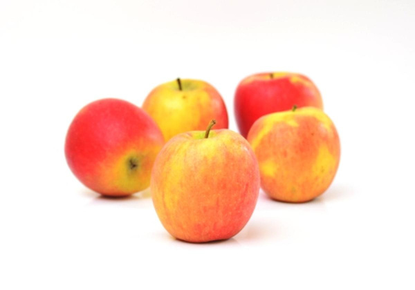 Produktfoto zu Apfel Early Crunch