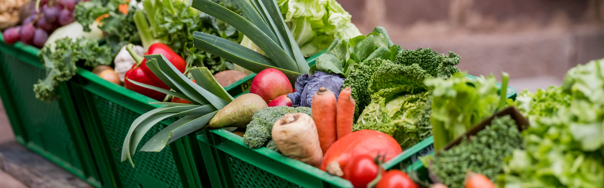 Eigene Ernte für die Ökokiste