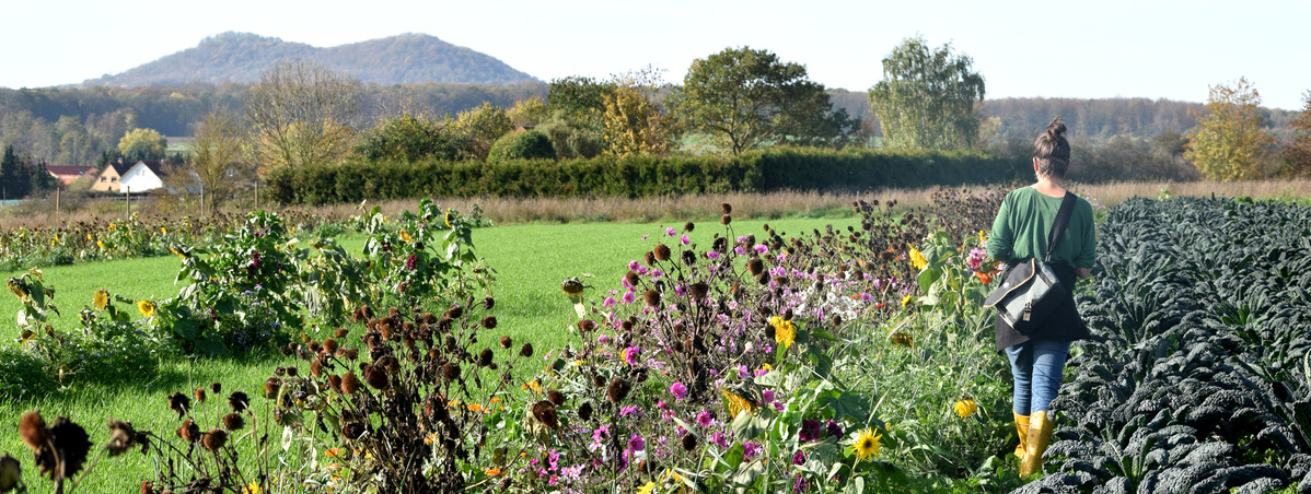 KI generiert: Eine Person geht durch ein Feld mit Blumen und Gemüse, im Hintergrund sind Hügel zu sehen.