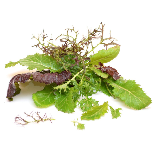 Produktfoto zu Salat-Tüte Wintermix