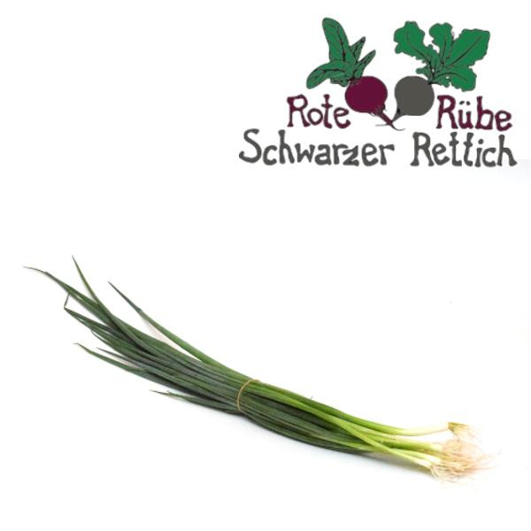 Produktfoto zu Frühlingszwiebeln