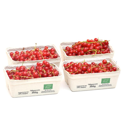 Produktfoto zu Johannisbeeren 4x250g