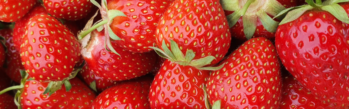 KI generiert: Frische rote Erdbeeren in Nahaufnahme.