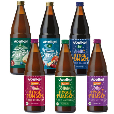 Produktfoto zu Punsch Mix-Kiste alkoholfrei 6*0,75l