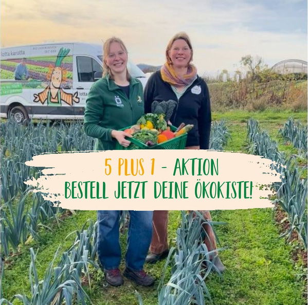 KI generiert: Zwei Frauen mit Gemüsekorb auf einem Feld. Text: "5 PLUS 1 - AKTION BESTELL JETZT DEINE ÖKOKISTE!"