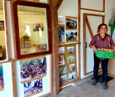 Marlena Staab Eierkorb Gallina