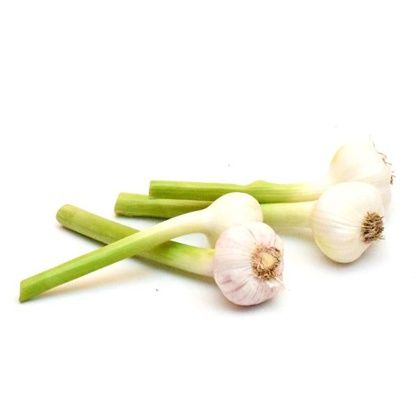 Produktfoto zu Knoblauch frisch