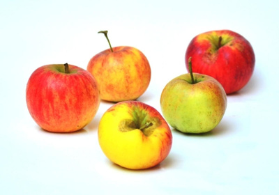 Produktfoto zu Apfel Backapfel