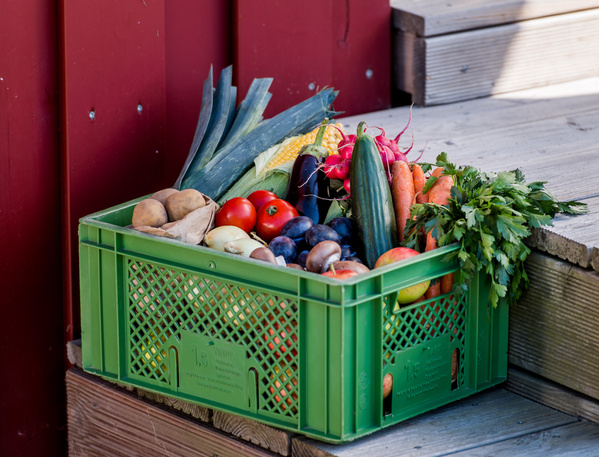KI generiert: Eine grüne Kiste voller frischem Gemüse und Obst steht auf einer Holztreppe.