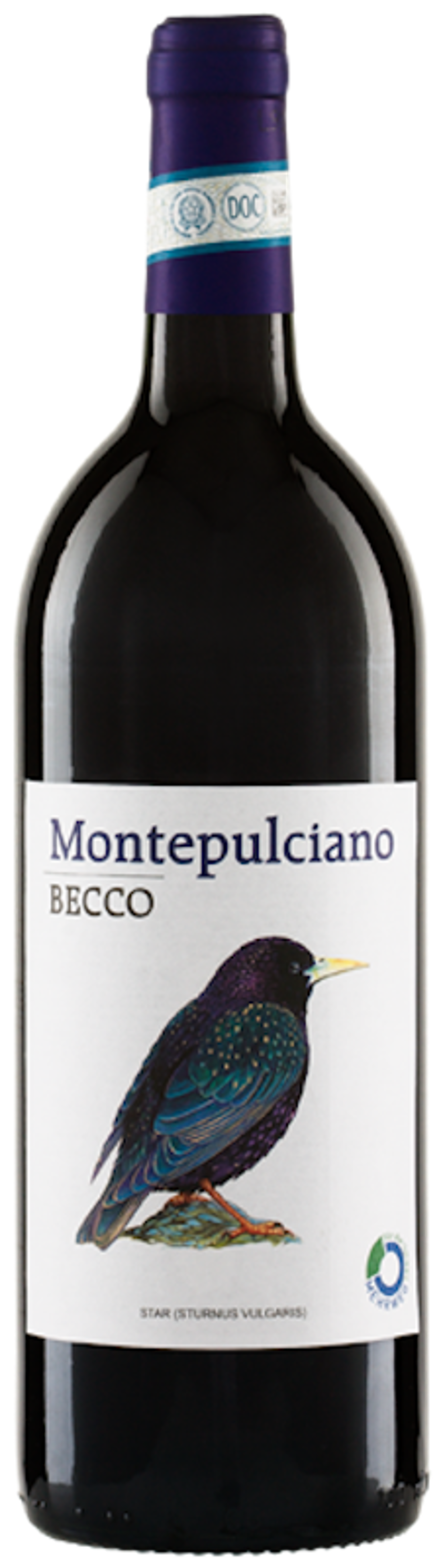 BECCO Montepulciano DOC 1l Mehrweg