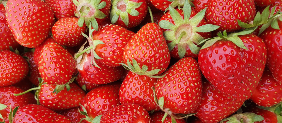 Erdbeeren