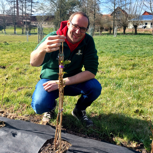 Aufgeschütteter Damm mit Kompost vermischt