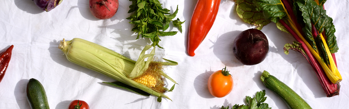 Produkte in der Ökokiste