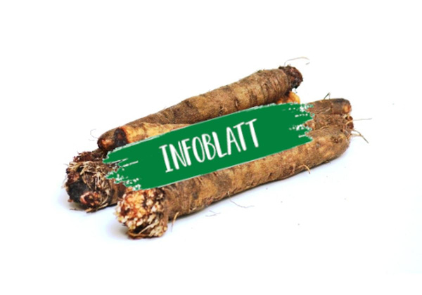 Produktfoto zu Infoblatt Schwarzwurzeln