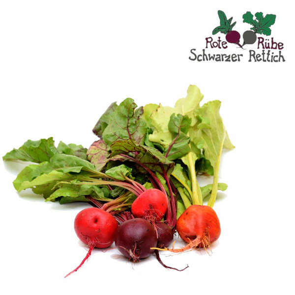 Produktfoto zu Bunte Bete Mix Bund