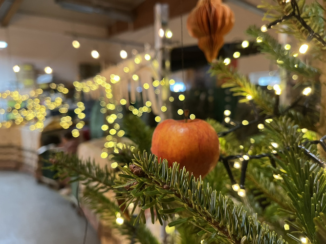 KI generiert: Apfel hängt an einem Tannenzweig, umgeben von Lichterketten in einem festlichen Raum.