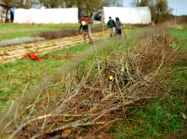 kreative Stellenanzeige 
