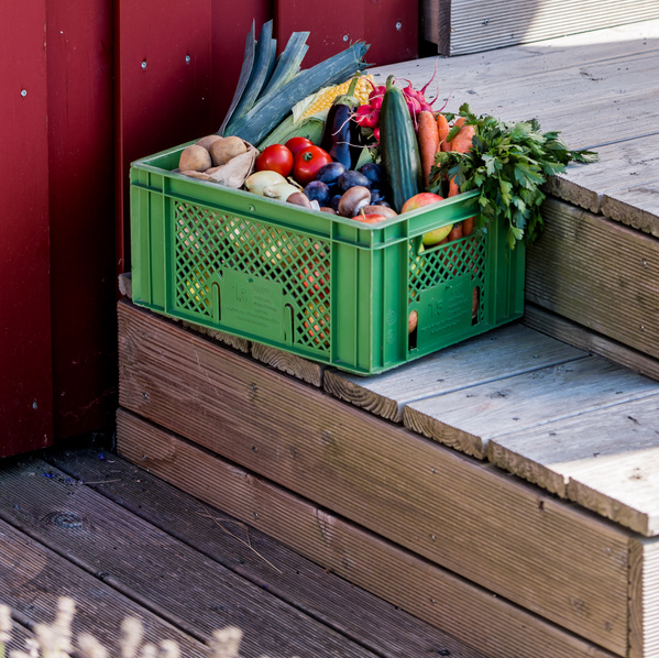 Unsere geplanten Gemüse- & Obstkisten