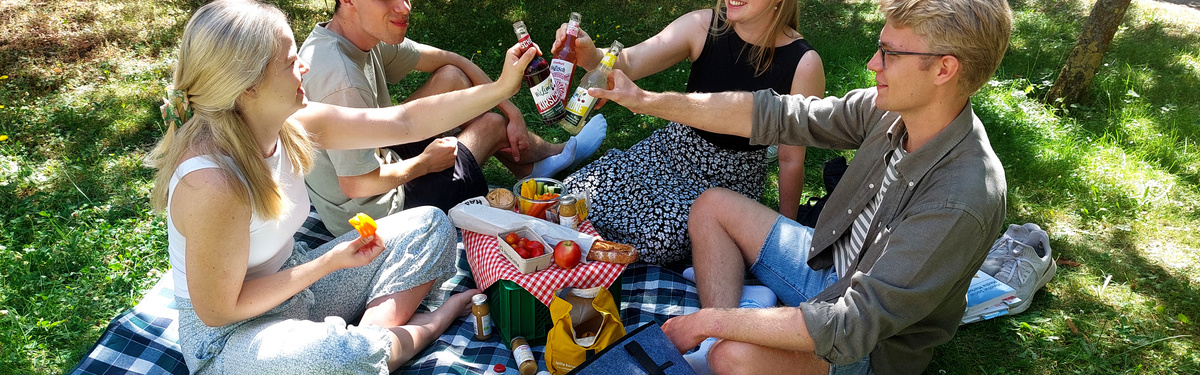 KI generiert: Personen sitzen auf einer Decke beim Picknick, stoßen mit Flaschen an.