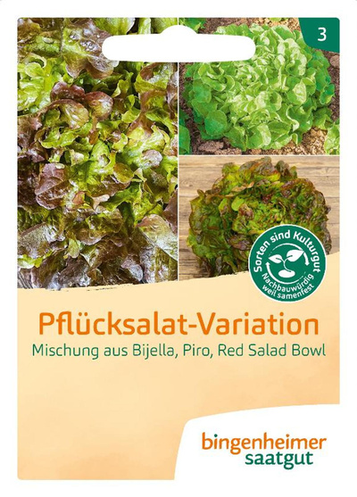Produktfoto zu Pflücksalat-Mix Saatgut