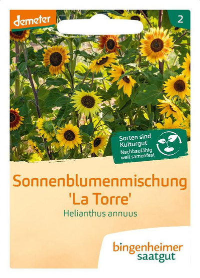 Produktfoto zu Sonnenblume Saatgut
